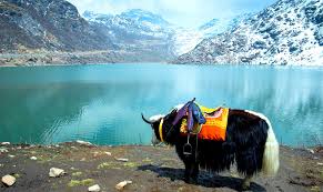 Trekking In The Sikkim Himalayas Goecha La Adventure Nation Blog Himalayan treks for beginners, snow treks, summer 2020 treks, a list and calendar of the best treks in the himalayas by indiahikes. adventure nation