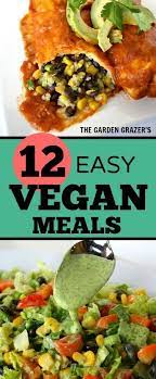 Our Tried And True Favorite Vegan Recipes Loved By Kids And Readers Both Vegans And Non Vegans Alik Vegetarian Vegan Recipes Vegan Recipes Vegetarian Recipes