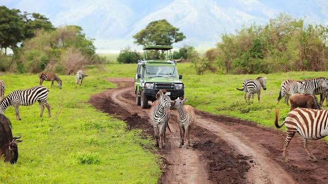 Best African Safari Tours, Packages & Tailored Itineraries