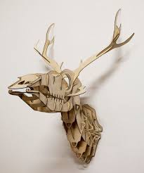 Goldfuss Plywood Taxidermy Skull Deer Trophy Goldfuss Is A 3d Puzzle Of A Skeletal Deer Trophy Which Comes Flat Packed And Con Deer Trophy Taxidermy Deer