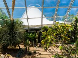 Nach der aktuellen verordnung des sächsischen staatsministeriums für soziales und. Botanischer Garten Graz Informationen Offnungszeiten Eintritt