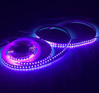 395nm 365nm UV Lights 2835 LED Blacklights Strip 12V