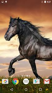 خيل خلفيات حية for android apk download