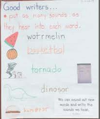 22 Kindergarten Anchor Charts Youll Want To Recreate