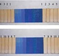 Light fastness test. | Download Scientific Diagram