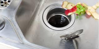 Clogged garbage disposals can jam up hours of your day. 9 Things You Should Never Put In Your Garbage Disposal Mike Diamond