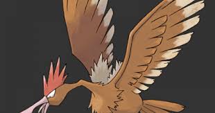 Pokemon Lets Go Fearow Stats Moves Evolution Locations