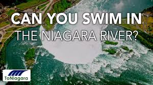 Enjoy Some Slow, Wild Swimming In The River Cam