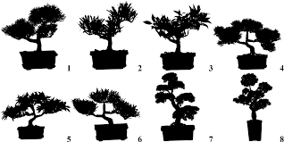 Download 970+ royalty free bonsai tree silhouette vector images. Bonsai Tree Silhouette High Resolution Brushes By Azzura98 On Deviantart