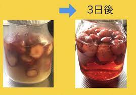 冷凍したいちごで【いちごウイスキー】に挑戦❤️ | 日常ごっこ ~究極の人形あそび～