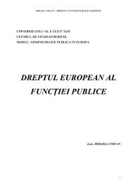 Grade functionar public principal politia locala brodate cu fir metalic argintiu. Dreptul Functiei Publice Europene Cse