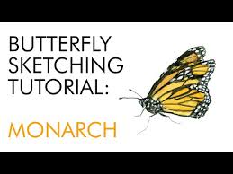 Paint a monarch butterfly stepping stone will show you how! Sketching A Monarch Butterfly Painting Tutorial Julia Bausenhardt