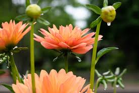 Photo — Abby Cantrell