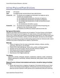 phylum lesson plans worksheets lesson planet