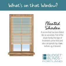 Cellular/honeycomb shades, roller & solar shades, roman shades 7 Window Treatments 101 Ideas Window Treatments Budget Blinds Windows