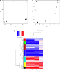 Frontiers Prolonged Bat Call Exposure Induces A Broad