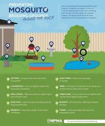 There are solutions that give you and your family the freedom to go outdoors when you choose without fighting off swarms of hungry mosquitoes. Blog How To Control Mosquitoes In Your Backyard