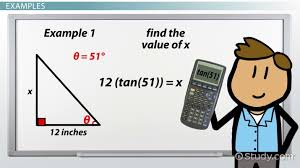 The relative frequency of any category is the proportion or percentage of the data values that fall in that. Tangent Ratio Definition Formula Video Lesson Transcript Study Com