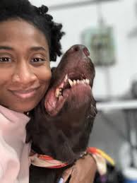 We've been enjoying the hustle and bustle leading up to the holidays! So  many dogs, so much joy—and we're loving every moment of this puppy mayhem  🐾🎄 #PuppyMayhem #HolidayRush #DogLife