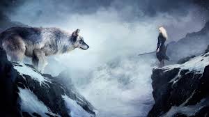 Please contact us if you want to publish a 4k computer wallpaper on our site. 4k Wolf Wallpaper Kolpaper Awesome Free Hd Wallpapers