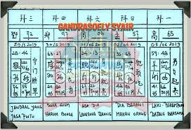 1040 Gambar Binatang Pakong Singapura Terbaik Gambar Hewan