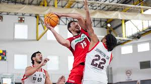 Victoria con holgura del Covirán Granada ante Flamengo para llevarse el I  Trofeo Diputación - Ahora Granada