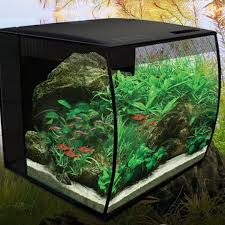 The Complete Guide to Setting Up a Nano Aquarium Fish Tank: Step-by-St – We  Know Pets