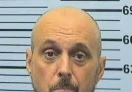 WPMI 7/4/23 10p dauphin island animals darwin