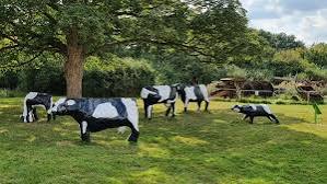 Milton Keynes' concrete cows: The weirdest Google reviews of MK's iconic  landmarks - Buckinghamshire Live
