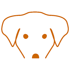 Übertragen wird sie durch zecken und zwar nicht durch einen biss, sondern durch das verspeisen von zecken. Gesundheit Der Hunde In Dem Von Uns Unterstutzten Tierheim Initiative Karpatenstreuner E V