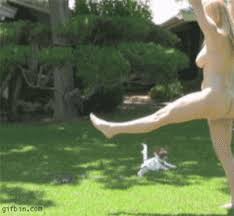 Dog Porn Photos - EPORNER