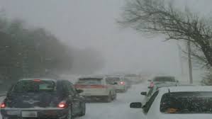 Image result for Blizzard 2009 GX