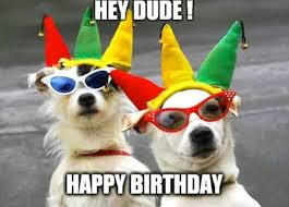 Great gif for all dog lovers. 101 Funny Happy Birthday Dog Memes For Paw Lovers Everywhere