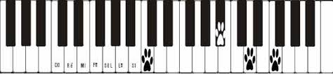 Les Accords De Onzieme Composition De M A O The b flat major chord. les accords de onzieme composition de