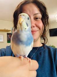 Ma Sha Allah From BD 🇧🇩🇧🇩🇧🇩