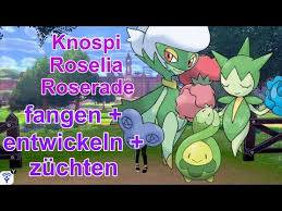 Roselia is a grass/poison pokémon found wild in hoenn and unova, bred from roselia or roserade, and evolved from budew in pokemmo. Knospi Roselia Roserade Fangen Entwickeln Zuchten Pokemon Schwert Und Schild Youtube