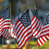 Image result for veterans day