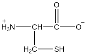 13 1 Amino Acids Chemistry Libretexts