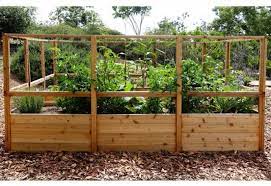 Raised garden bed with deer fence. Raised Garden Bed 8 X 12 With Deer Fence Kit Bettergreenhouses Com