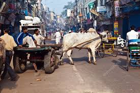 Ox Chart In The Narrow Streets Of Old Delhi Stock