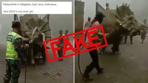 Claim your free 15gb now! Dinosaur Caught Alive In Indonesia Know The Truth About Viral Video Of Triceratops Captured In East Java S Mojosemi Forest Park Latestly