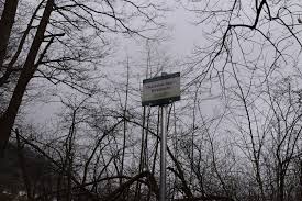 Hinweise auf namensgebungen nach dem hl. Ossiacher See Holz Schlagerungen Im Schutzgebiet Sorgen Fur Unmut Villach