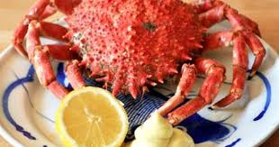Epingle Sur Cooking Fish Cuisine Du Poisson