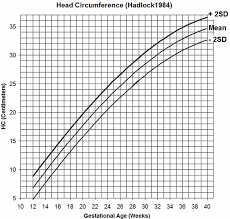 Gestational Age Chart How To Calculate Gestational Age