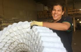 Just.mattresses is a small but thriving operation that picks up unwanted mattresses and delivers them to spring back recycling where they are sustainably broken down for. Mattress Recycling Jobs Bring Comfort To Edmonton S Most Vulnerable Cbc News