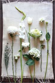 Wedding flowers white flowers names and pictures. Wedding Flower Guide Flower Guide Wedding Flower Guide White Wedding Flowers