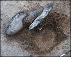 Image result for Black 1986 Preseli District Council