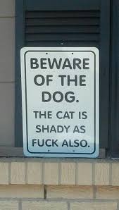Metal plate sign beware of dog cat is shady caution warn wall cave home decor. Beware Of Dog The Cat Is Shady Too Beware Of Dog Bones Funny Funny Signs
