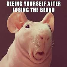 Nooo Oh Well It Ll Grow Back Well I Hope He Grows It Back The Kids Were Freaked Out Too Haha We Laughed Funny Pictures Beard Humor Funny Memes