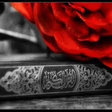 Pronunciation roman urdu is zabani sunana and. Quran With Urdu Translation Recitator Mishary Rashid Alafasy Translation Mufi Taqi Usmani By Quran Recitations With Urdu Translation